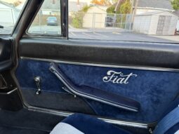 
										1981 Fiat Spider 2000 full									