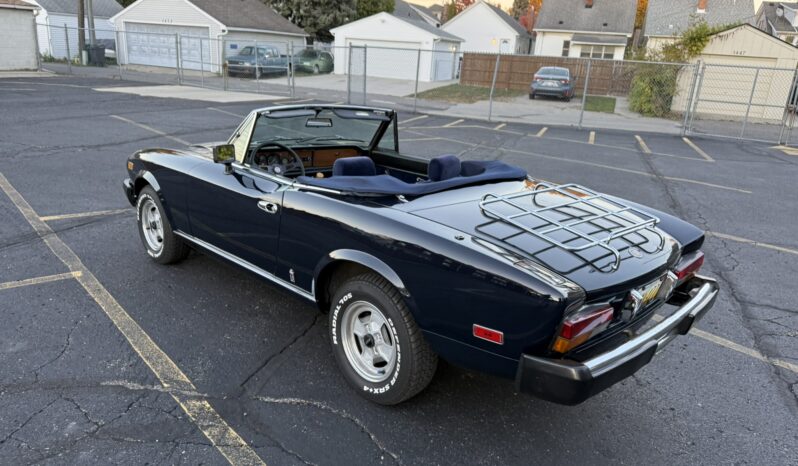 
								1981 Fiat Spider 2000 full									