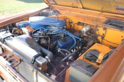 
										1974 Ford Bronco 302 full									