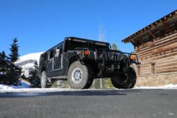 
										2003 Hummer H1 Wagon full									