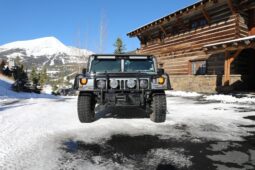 
										2003 Hummer H1 Wagon full									