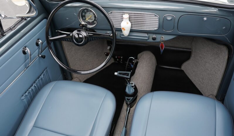 
								1955 Volkswagen Beetle Deluxe Sunroof full									