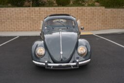 
										1955 Volkswagen Beetle Deluxe Sunroof full									