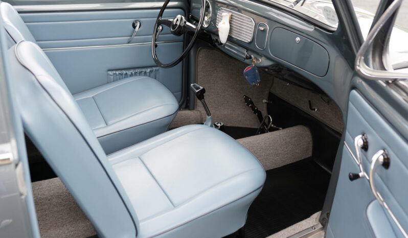 
								1955 Volkswagen Beetle Deluxe Sunroof full									