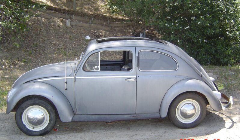 
								1955 Volkswagen Beetle Deluxe Sunroof full									