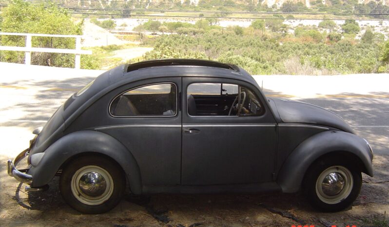 
								1955 Volkswagen Beetle Deluxe Sunroof full									