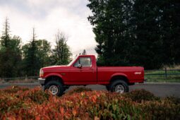 
										1995 Ford F-150 XL 4×4 5-Speed full									
