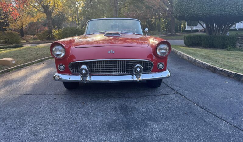 
								1955 Ford Thunderbird 3-Speed full									