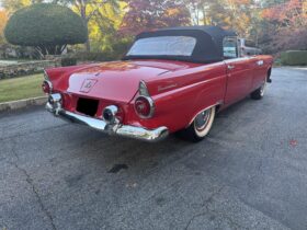 1955 Ford Thunderbird 3-Speed