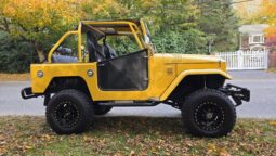 
										1967 Toyota Land Cruiser FJ40 full									