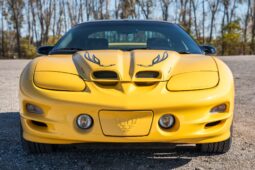 
										2002 Pontiac Firebird Trans Am WS6 full									