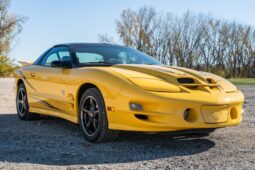 
										2002 Pontiac Firebird Trans Am WS6 full									