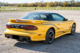 
										2002 Pontiac Firebird Trans Am WS6 full									