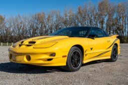 2002 Pontiac Firebird Trans Am WS6 2