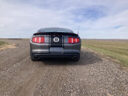 2010 Ford Mustang Shelby GT500 Coupe
