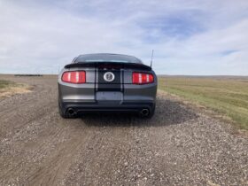 2010 Ford Mustang Shelby GT500 Coupe
