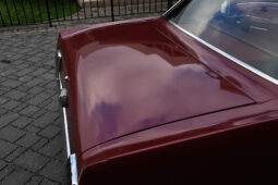 
										1966 Ford Mustang Coupe 289 full									