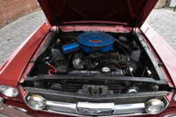 
										1966 Ford Mustang Coupe 289 full									