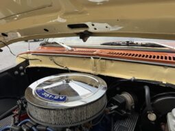 
										1979 Ford Bronco Ranger XLT full									