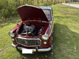 
										1959 Fiat 1200 Granluce full									