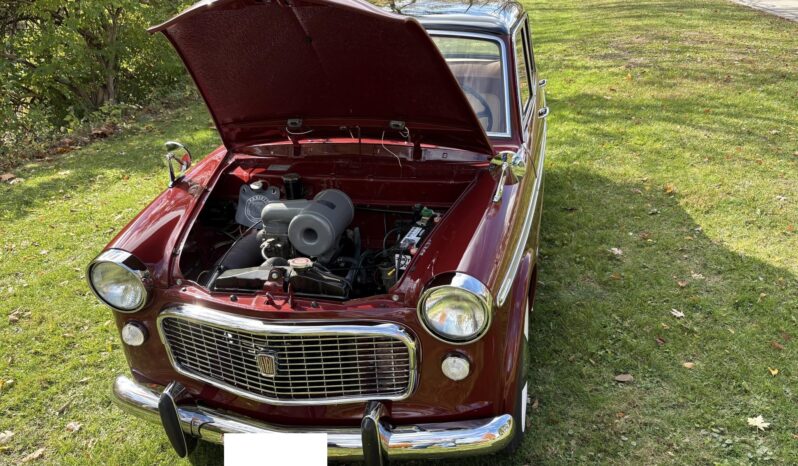 
								1959 Fiat 1200 Granluce full									