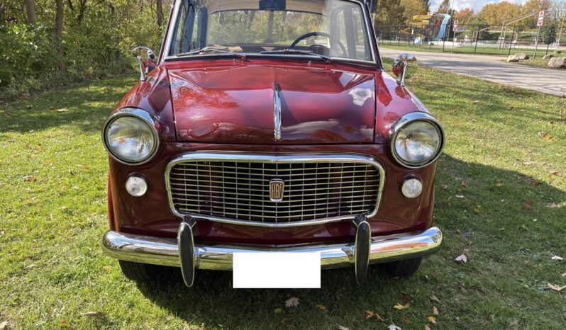 
								1959 Fiat 1200 Granluce full									