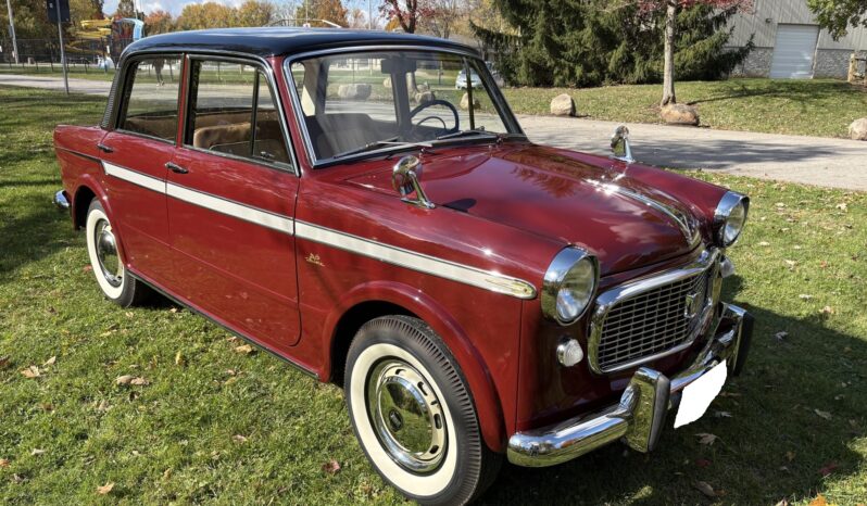 1959 Fiat 1200 Granluce 1