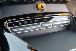 
										2018 Mercedes-AMG GT R full									