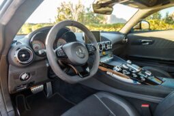 
										2018 Mercedes-AMG GT R full									