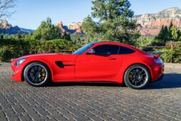 
										2018 Mercedes-AMG GT R full									