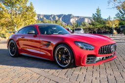 
										2018 Mercedes-AMG GT R full									