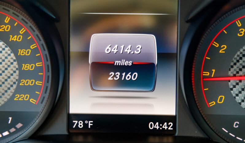 
								2018 Mercedes-AMG GT R full									