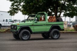 
										1987 Mercedes-Benz 240GD full									