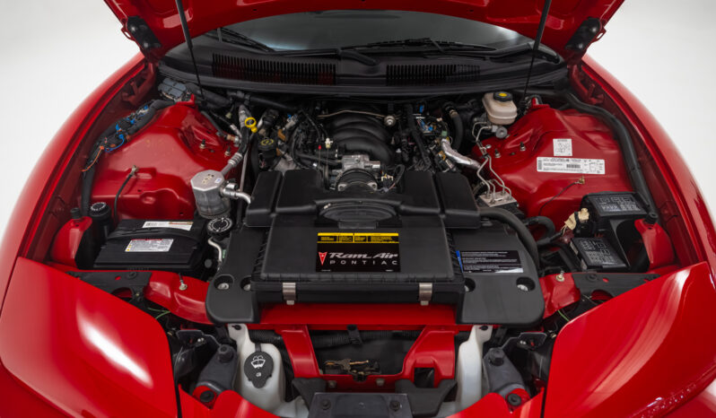 								2002 Pontiac Firebird Trans Am WS6 full									