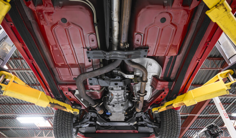 								2002 Pontiac Firebird Trans Am WS6 full									