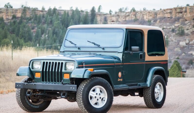 
								1993 Jeep Wrangler Sahara 4.0 5-Speed full									