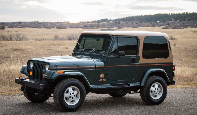 
								1993 Jeep Wrangler Sahara 4.0 5-Speed full									