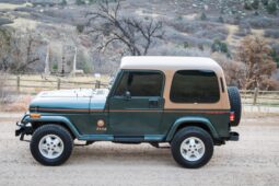 
										1993 Jeep Wrangler Sahara 4.0 5-Speed full									