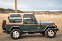 1993 Jeep Wrangler Sahara 4.0 5-Speed 2