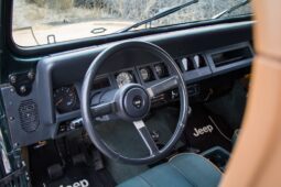 
										1993 Jeep Wrangler Sahara 4.0 5-Speed full									