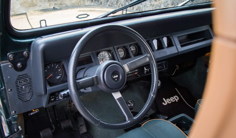 
								1993 Jeep Wrangler Sahara 4.0 5-Speed full									