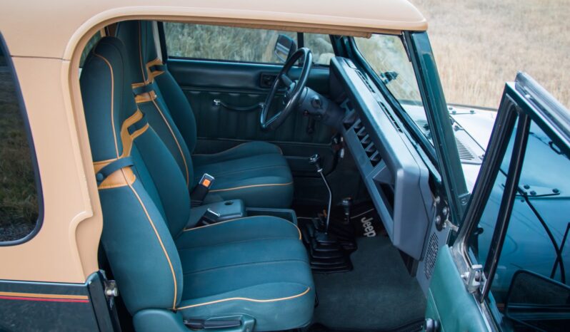 
								1993 Jeep Wrangler Sahara 4.0 5-Speed full									