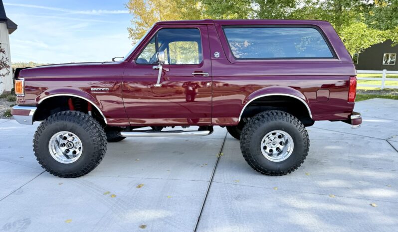 
								1991 Ford Bronco Eddie Bauer Silver full									