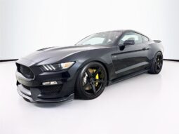 										2017 Ford Mustang Shelby GT350 full									