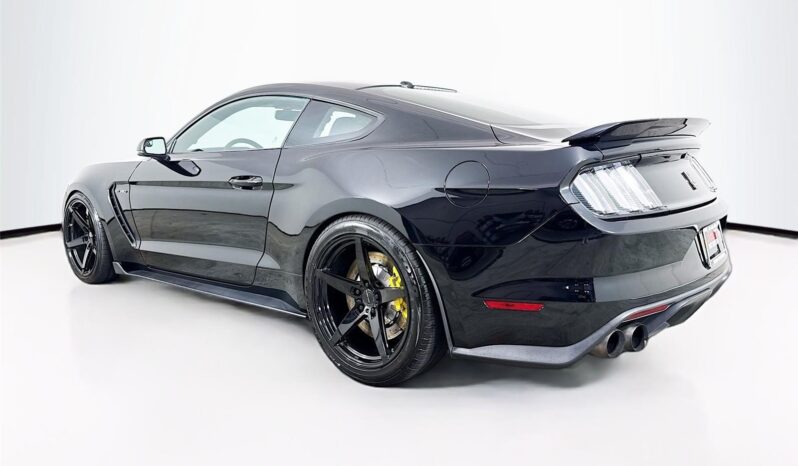 								2017 Ford Mustang Shelby GT350 full									