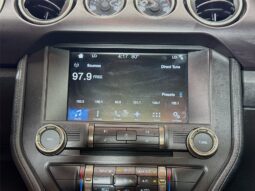 										2017 Ford Mustang Shelby GT350 full									