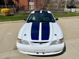 
										1997 Ford Mustang White 4.6l 5 Speed Manual full									