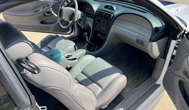 
								1997 Ford Mustang White 4.6l 5 Speed Manual full									