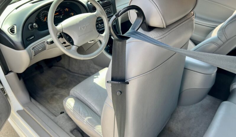 
								1997 Ford Mustang White 4.6l 5 Speed Manual full									