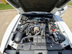 
										1997 Ford Mustang White 4.6l 5 Speed Manual full									